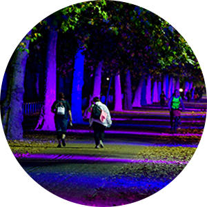 People walking the Shine Night Walk on an illuminated tree-lined street