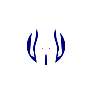 Ovarian icon