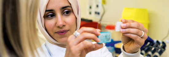 Photo of a researcher inspecting slides with cell information