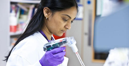Scientist working in a laboratory