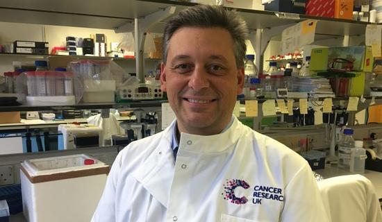Dr Francesco Forconi Dr Francesco Forconi