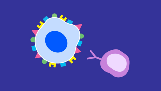 Graphic showing cells