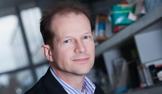 Professor Paul Moss Professor Paul Moss