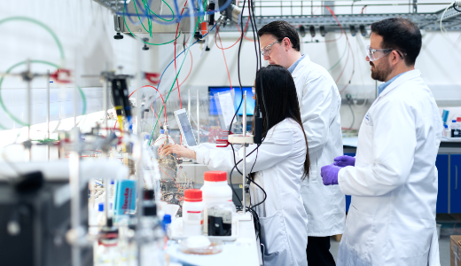 researchers