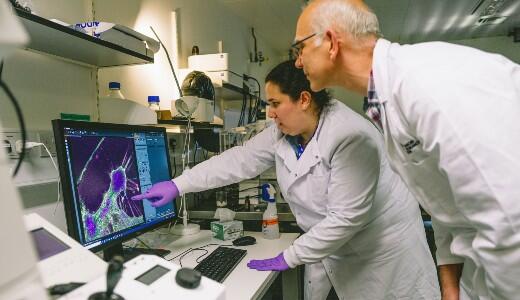 Scientists looking at data