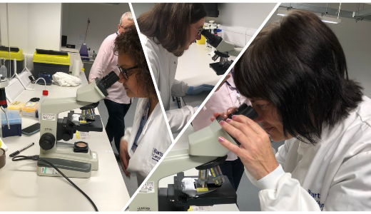 patient representatives looking at microscope