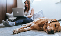 Person on a laptop at home