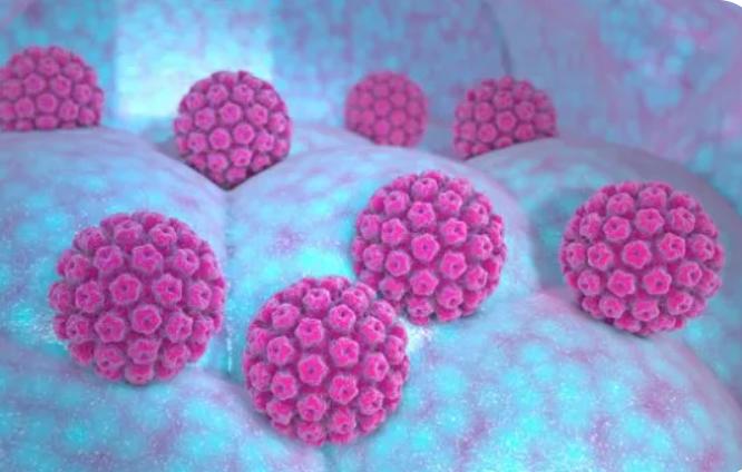 Infections (e.g. HPV) and cancer | Cancer Research UK