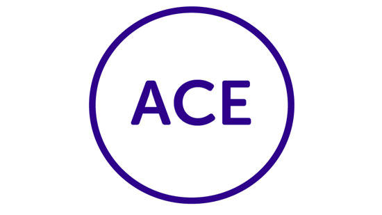 ACE Header Icon