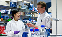 Researchers