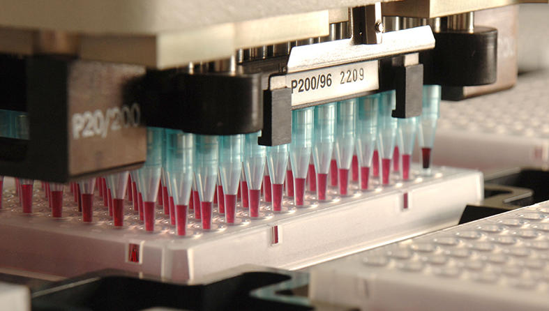 multiple samples loaded into a machine