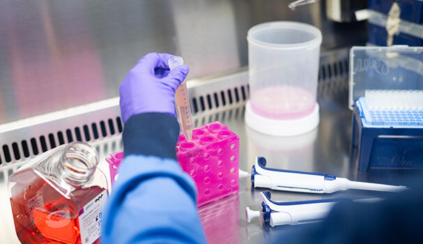 Close up of coloured liquid sample in a tube
