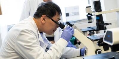 A researcher looking down a microscope