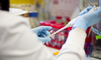 Researcher pipetting