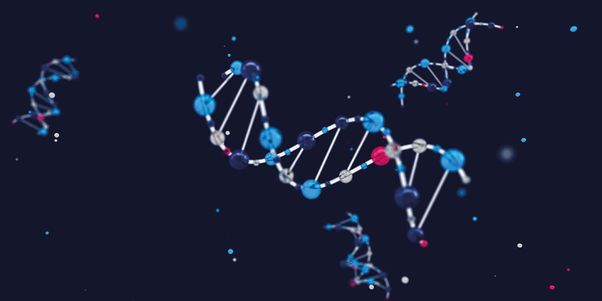 DNA helix DNA helix