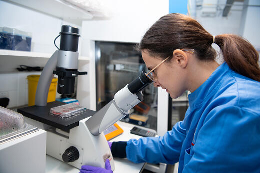 Researcher looking into a microscope