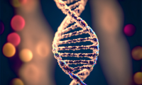 dna strand