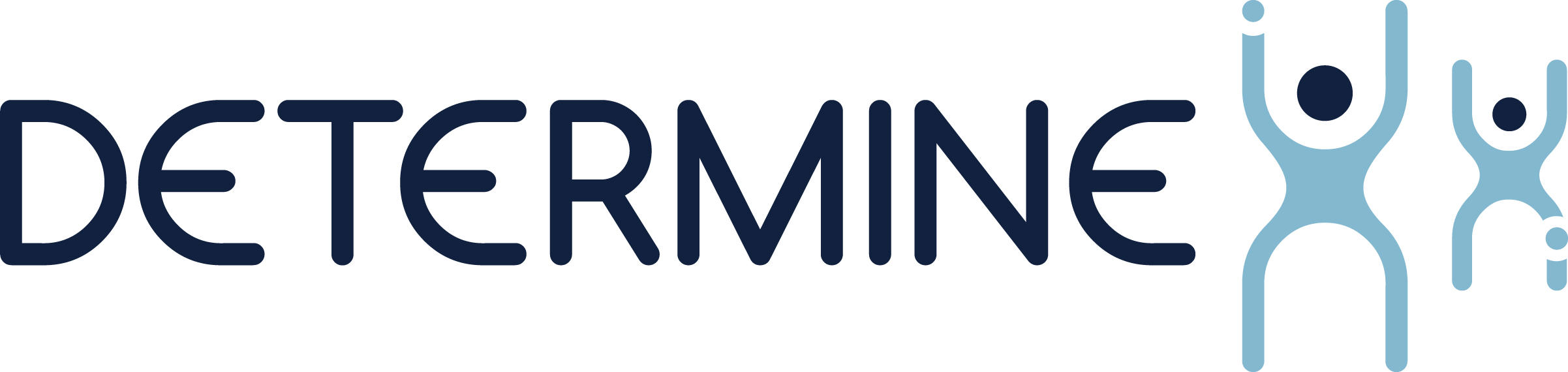 DETERMINE logo