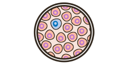 petri dish