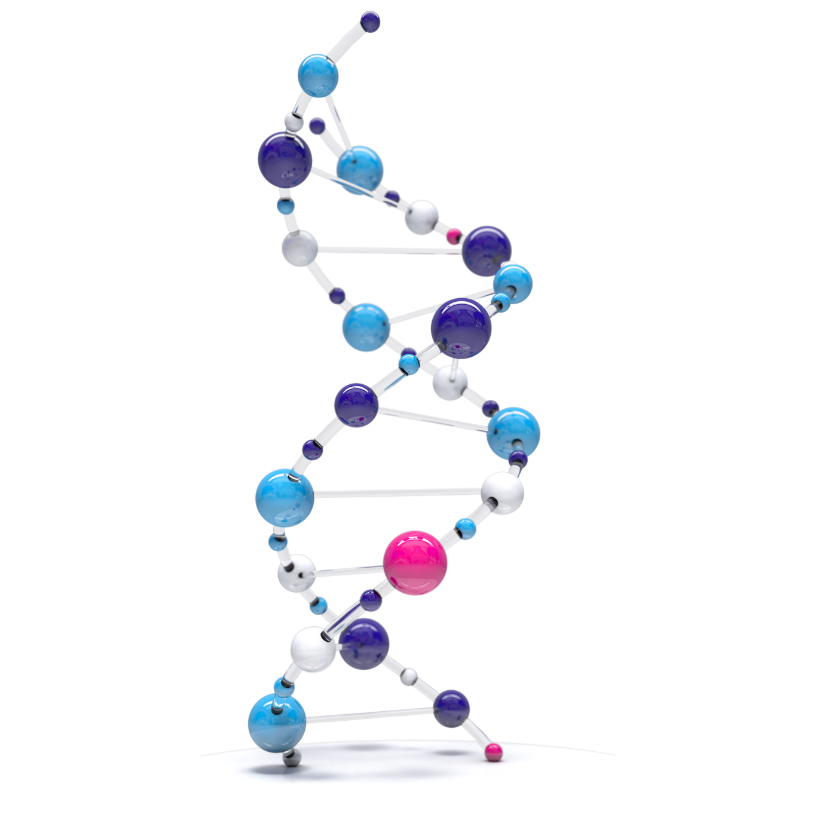 Discovery Research Discovery Research