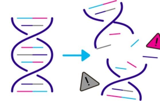 DNA damaged by chemicals in cigarettes