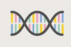 dna icon