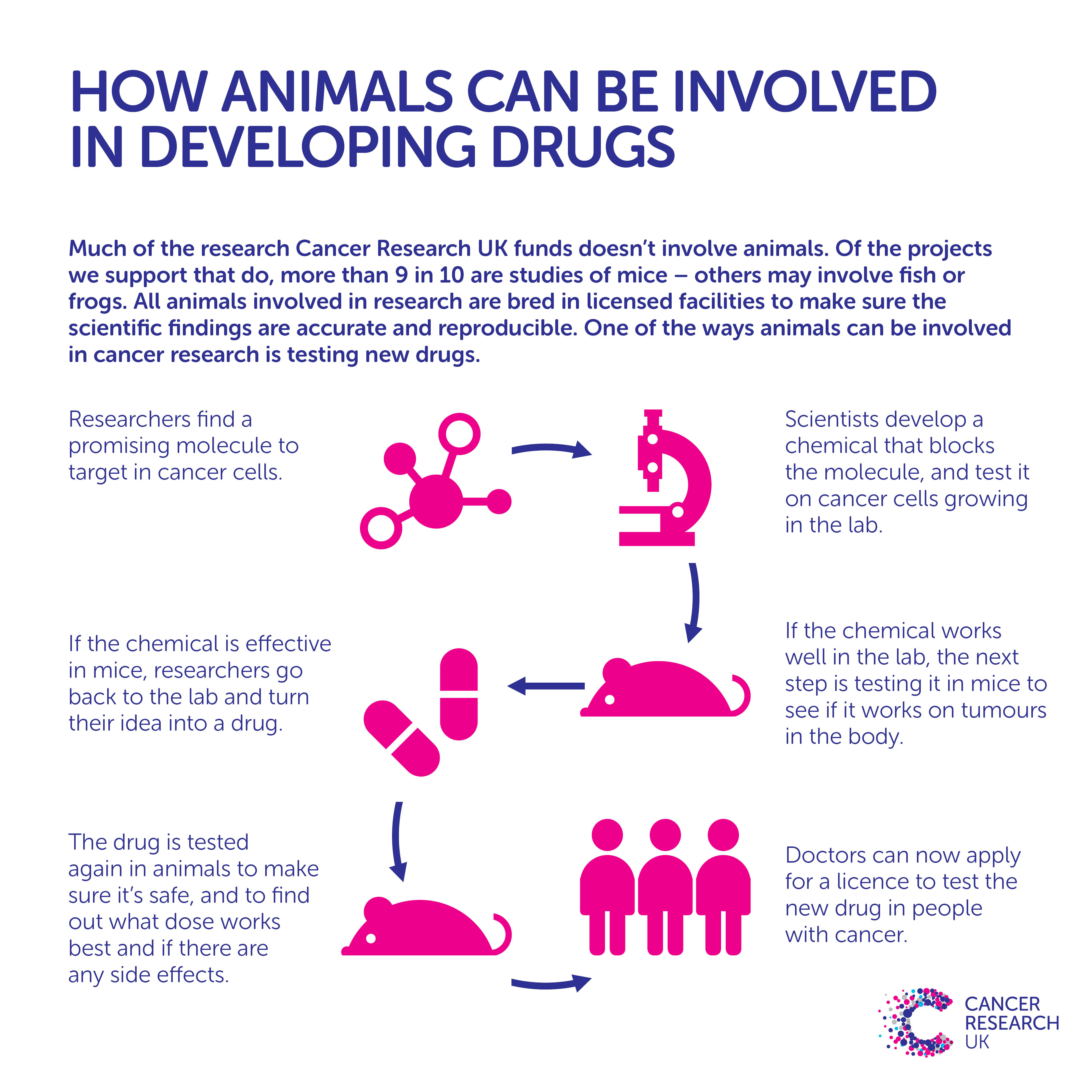 Image result for animal testing cancer research