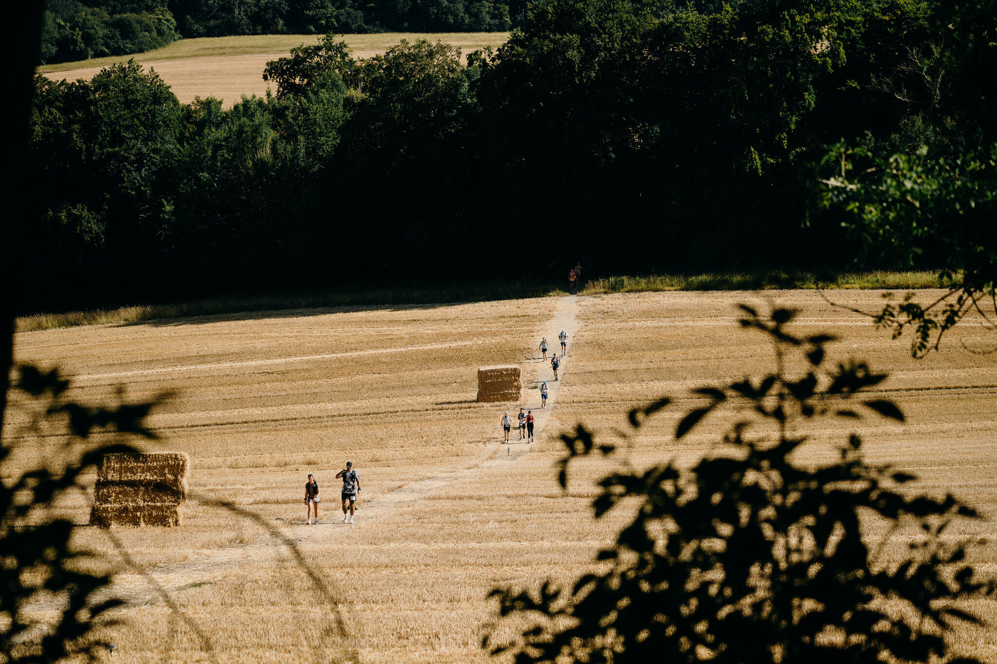 Field shot