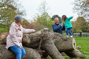 Lady sits on a log as a young girl plays on it supported by a man