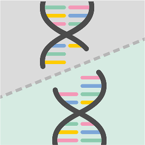 illustration of DNA