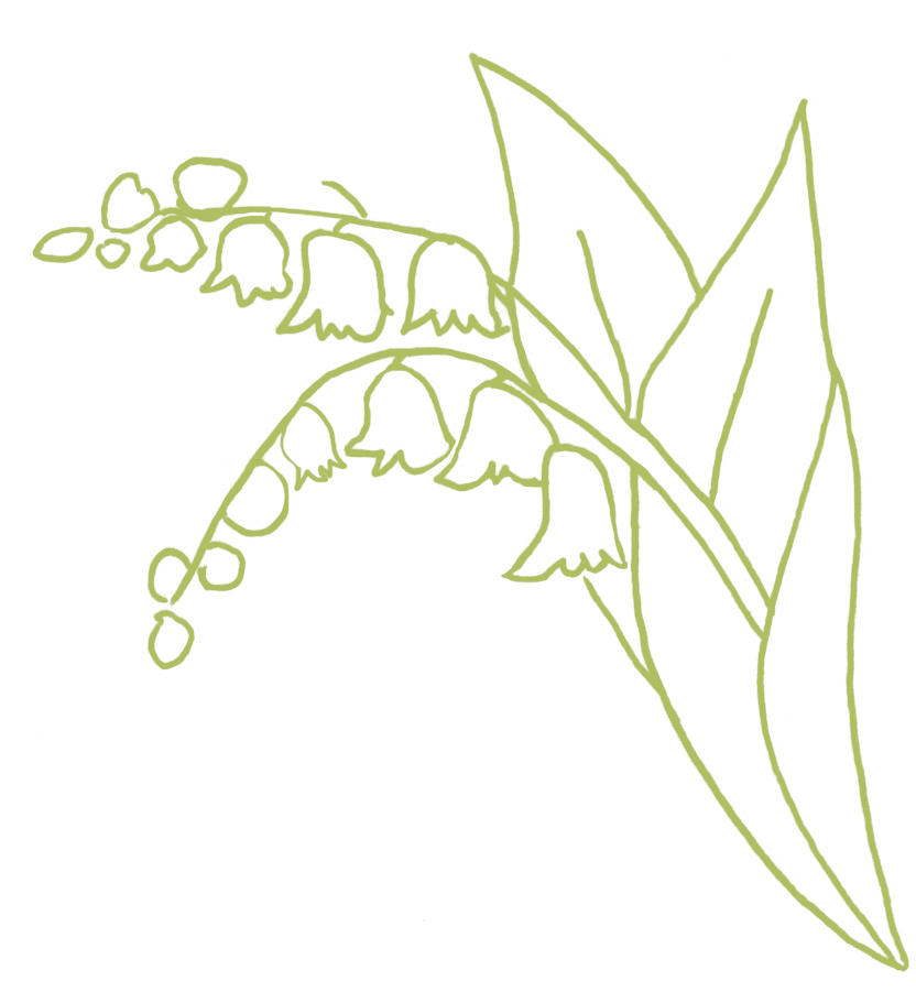 The Lily of the Valley