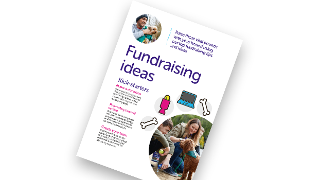 Dog Walking Challenge Fundraising Ideas