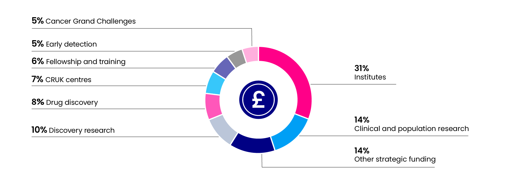 Infographic of our funding of key research areas