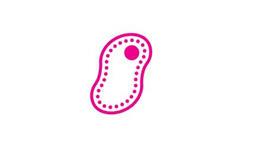Illustration of cells