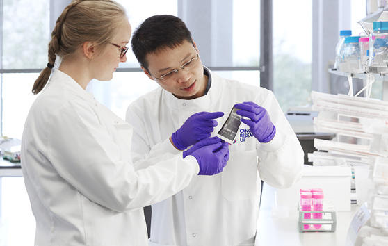 Two researchers working in a laboratory