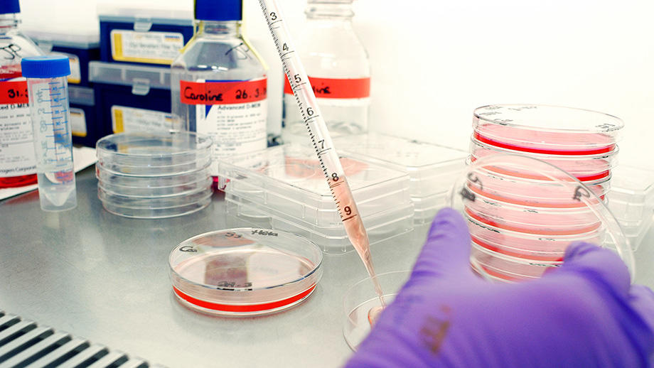 Functional Genomics Centre Cancer Research UK