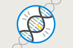 genome icon