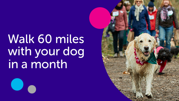 Dog running on path with people walking behind