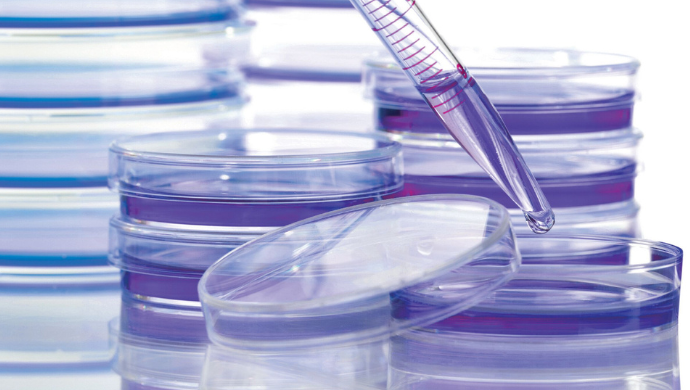 Stack of petri dishes with pipette