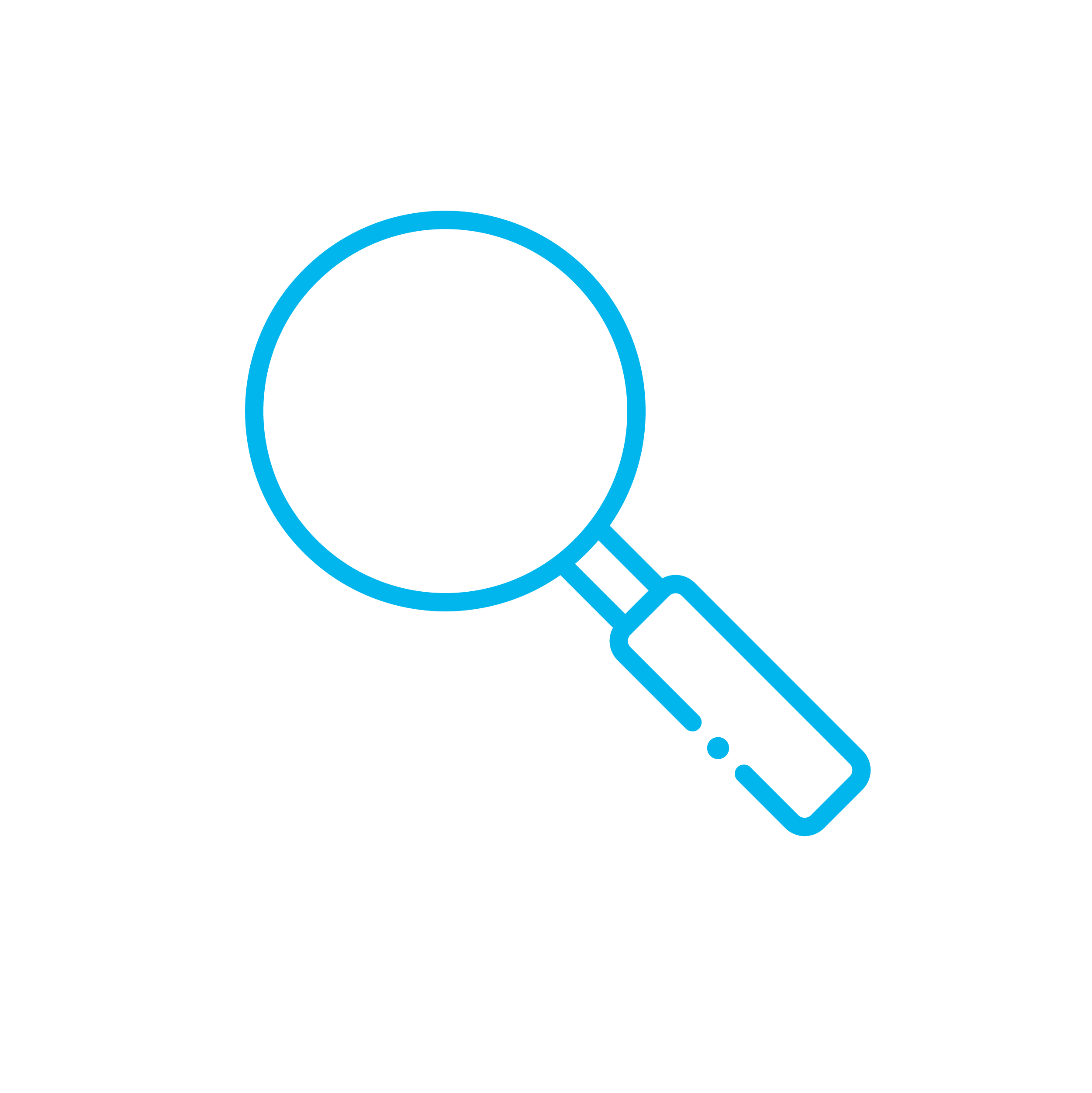 Magnifying glass icon
