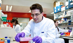 Scientists working in a lab Scientists working in a lab