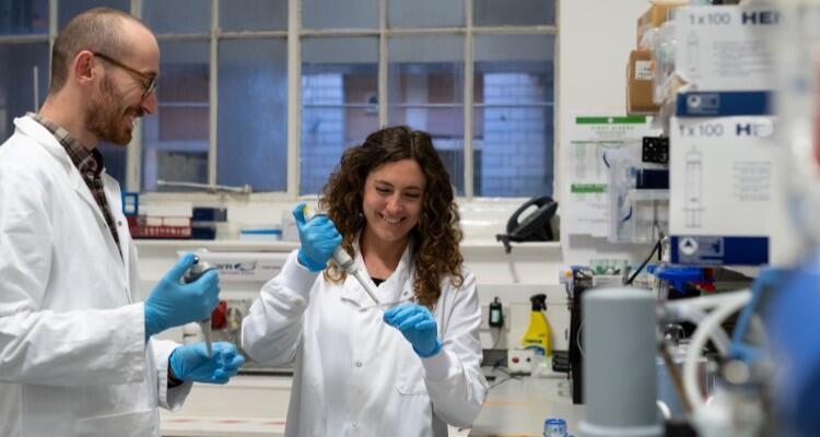 Two researchers working with pipettes in a lab, they are talking and laughing together