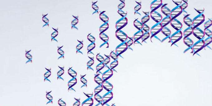 Creating a genomic map of the immune response