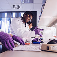 male scientist in laboratory