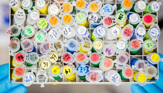 Testube samples
