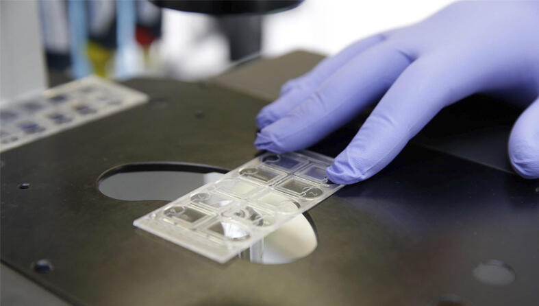 a hand holding a microscope slide