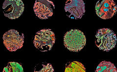 AI image