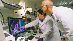 Two scientists in a lab