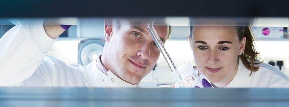 hero lab image