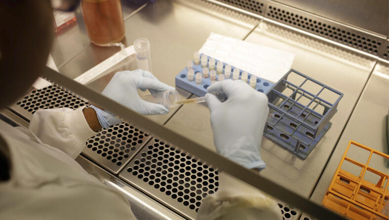 A researcher pipetting a sample in a fume hood